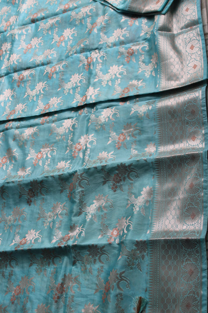 Pastel blue Banarasi Raw Mango with Jaal design